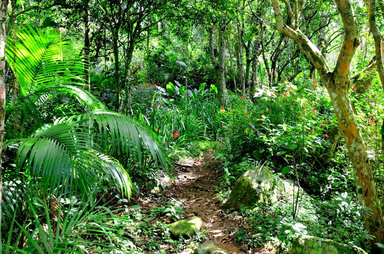 Pousada Sitio Dos Tucanos Florianopolis Luaran gambar